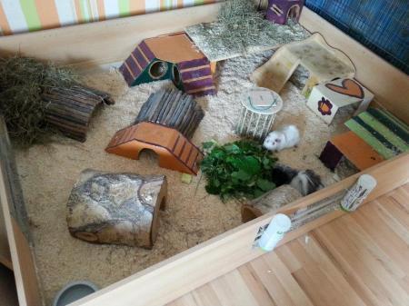 Bild zu 