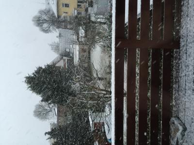 Bild zu Ich will Frühling und keinen Schnee! - Baby Forum - Allgemeine Themen