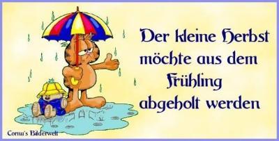 Bild zu Ohne Worte - Baby Forum - Allgemeine Themen
