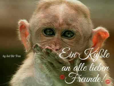 Bild zu Für euch - Baby Forum - Allgemeine Themen
