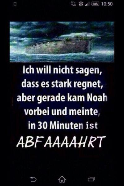 Bild zu Es regnet und regnet und regnet - Baby Forum - Allgemeine Themen