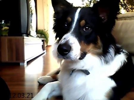 Bild zu 
