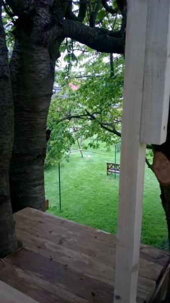 Bild zu 