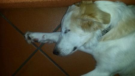 Bild zu 