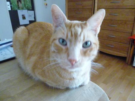 Bild zu 