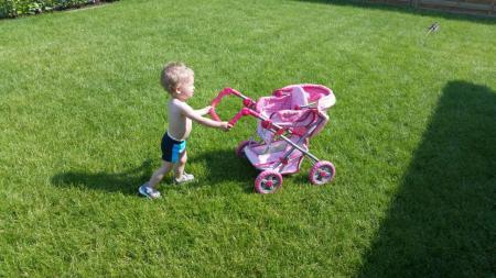 Bild zu 