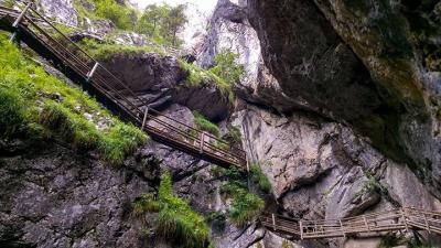 Bild zu Wunderbares Naturerlebnis - Baby Forum - Allgemeine Themen