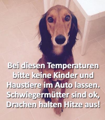 Bild zu Hahaha - Baby Forum - Allgemeine Themen