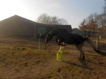 Bild zu 