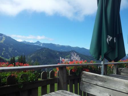 Bild zu 