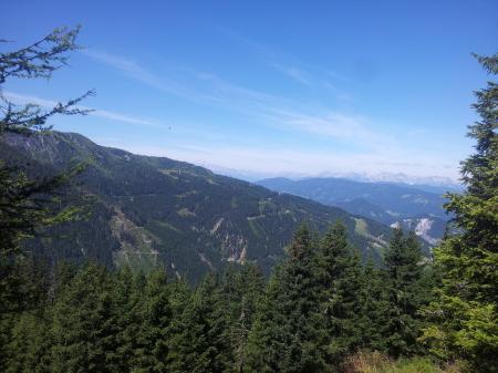 Bild zu 