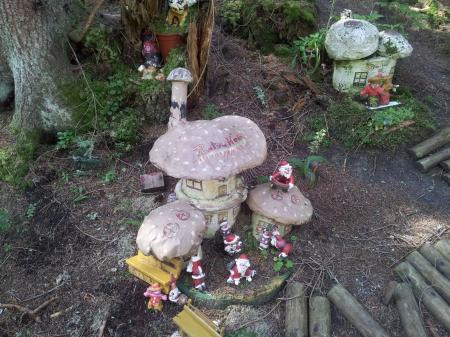 Bild zu 