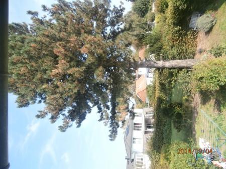 Bild zu 