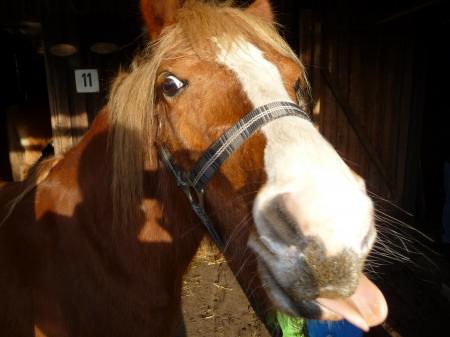 Bild zu 