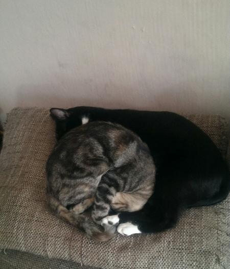 Bild zu 