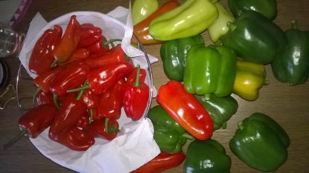 Bild zu braucht noch wer Paprika - Baby Forum - Allgemeine Themen