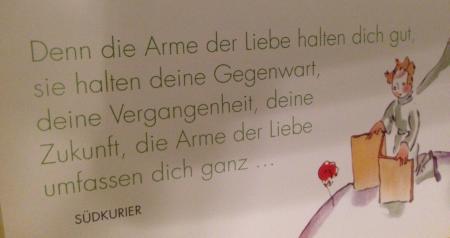 Bild zu 