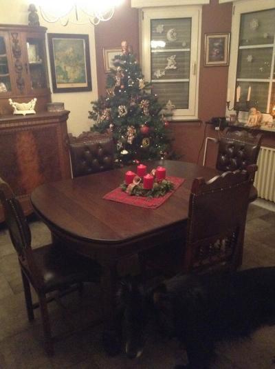 Bild zu @Dee: Christkind war gerade da :-) - Baby Forum - Allgemeine Themen
