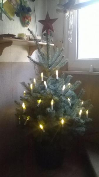 Bild zu 