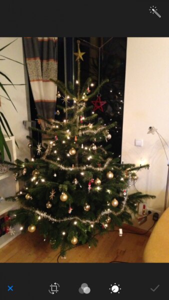 Bild zu Unser Baum steht auch schon..... - Baby Forum - Allgemeine Themen