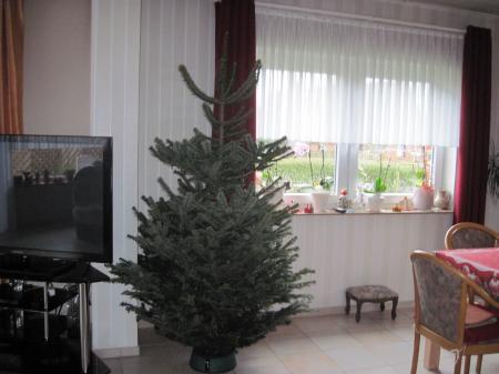 Bild zu 