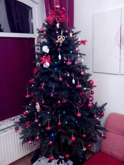 Bild zu im Hause mf4 kann nun auch Weihnachten kommen - Baby Forum - Allgemeine Themen