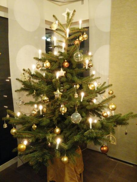 Bild zu 