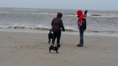 Bild zu Lieben Gruß aus Dänemark - Baby Forum - Allgemeine Themen