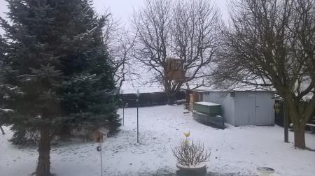 Bild zu 