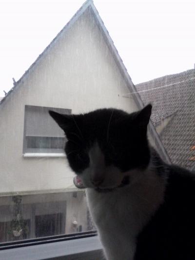 Bild zu ... - Baby Forum - Allgemeine Themen