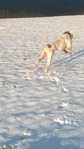 Bild zu 