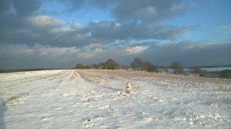 Bild zu 