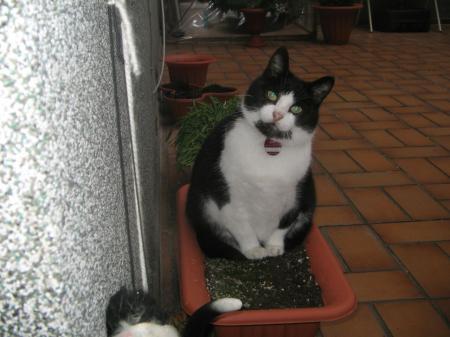 Bild zu 