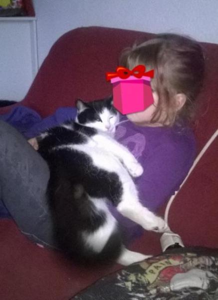 Bild zu 