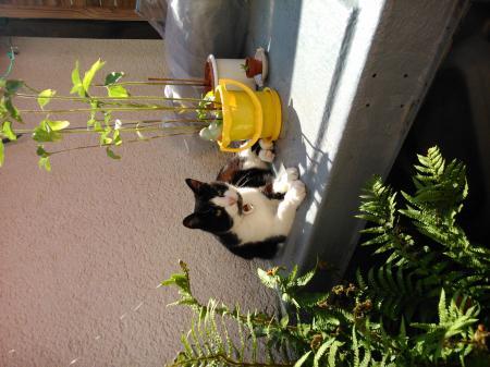 Bild zu 