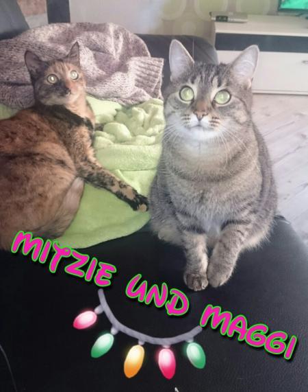 Bild zu 