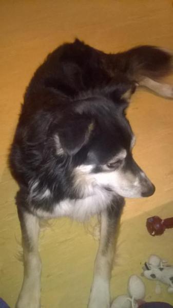 Bild zu 