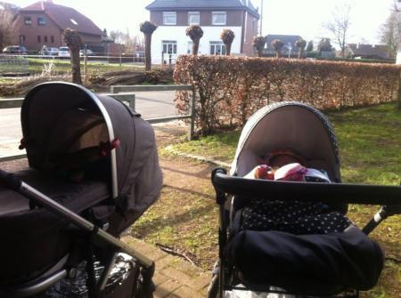 Bild zu 