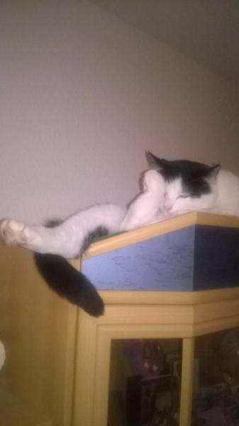 Bild zu 