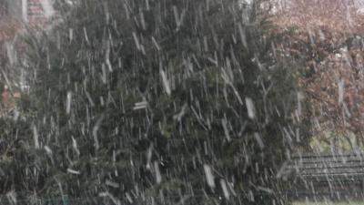 Bild zu bäh, wer hat den Schnee geschickt? - Baby Forum - Allgemeine Themen