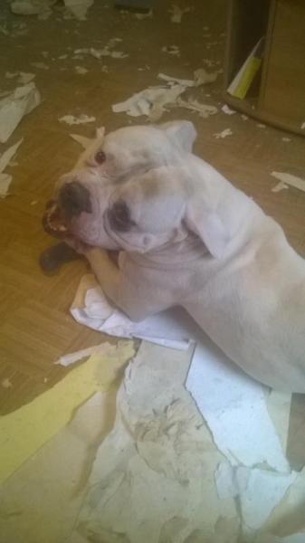 Bild zu 
