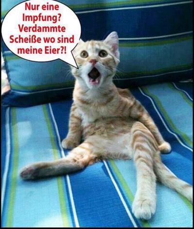 Bild zu Bild für Narnia - Baby Forum - Allgemeine Themen