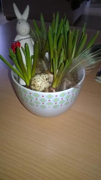 Bild zu 