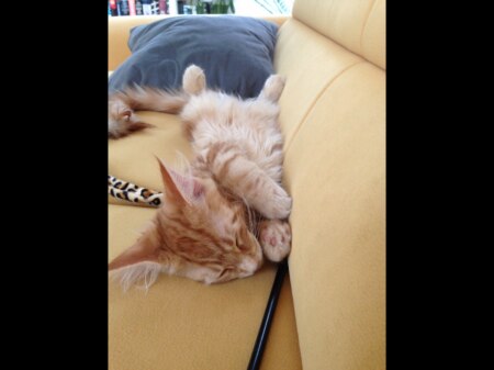 Bild zu 