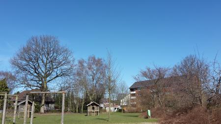Bild zu 