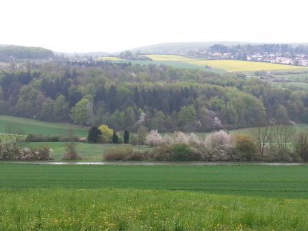 Bild zu 