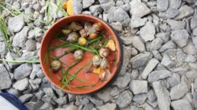 Bild zu Ausbeute aus dem Garten - Baby Forum - Allgemeine Themen