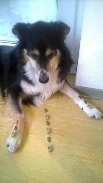 Bild zu