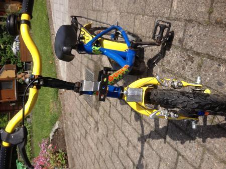 Bild zu 