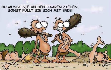 Bild zu 